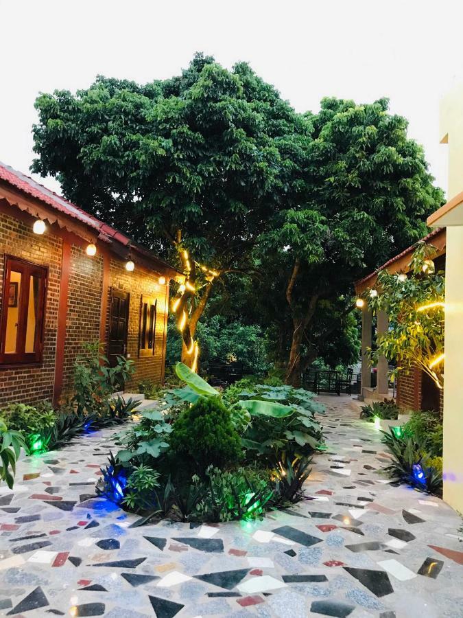 Tam Coc Thai Duong Homestay Νιν Μπιν Εξωτερικό φωτογραφία